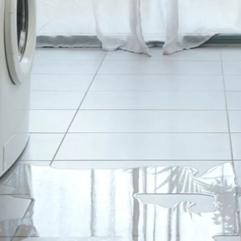 Appliance Leak Cleanup in Cape Carteret, NC